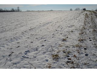 54.7 Acres with 50 tillable and 4.3 wooded.  Surrounded by heavy deer population on CRP land.  Great trophy deer hunting on established food plots.  Hunting tower.

Receive income on tillable acres while abundance of deer hunting on established food plot. - Great Investment Opportunity - Tillable Land, Recreation & Building Site
